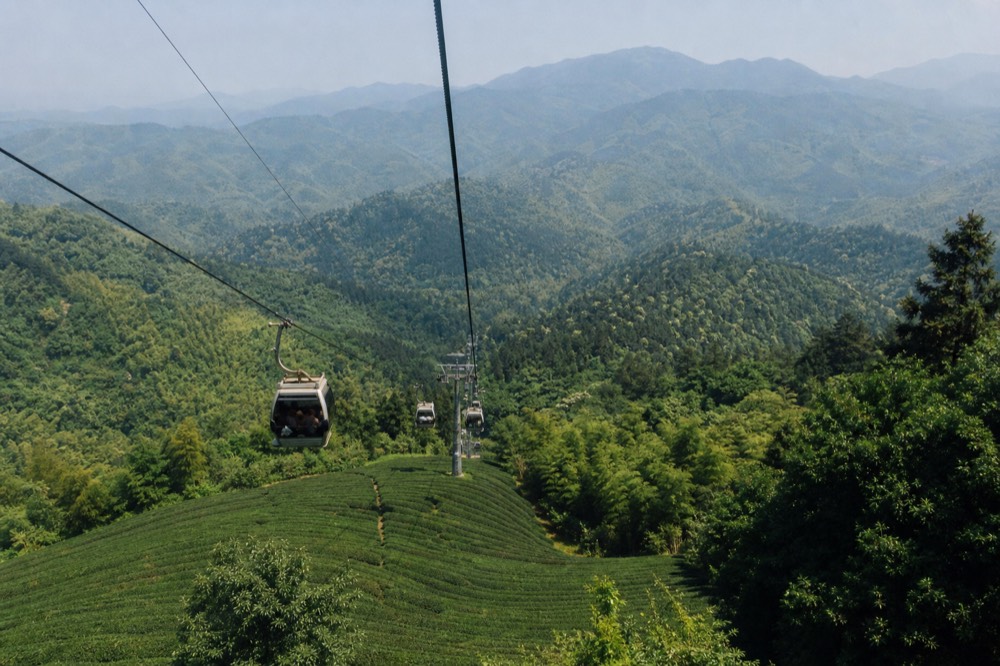 Cable car cabins suspended on a haul rope above a forested valley in Taiwan, no text, no logos, no people