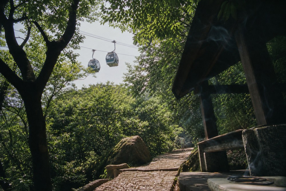 A line of enclosed gondola cabins passing over a forested ridge, no text, no logos, no people