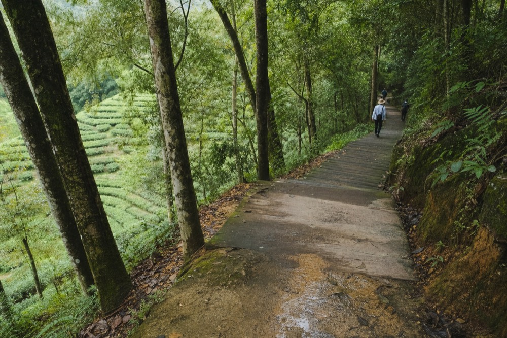 View from a cable car station platform over the Taipei basin, no text, no logos, no people