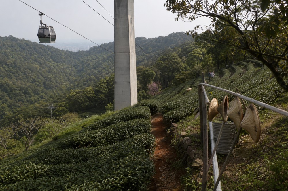 A cable car cabin passing a support tower on a hillside above tea plantations, no text, no logos, no people