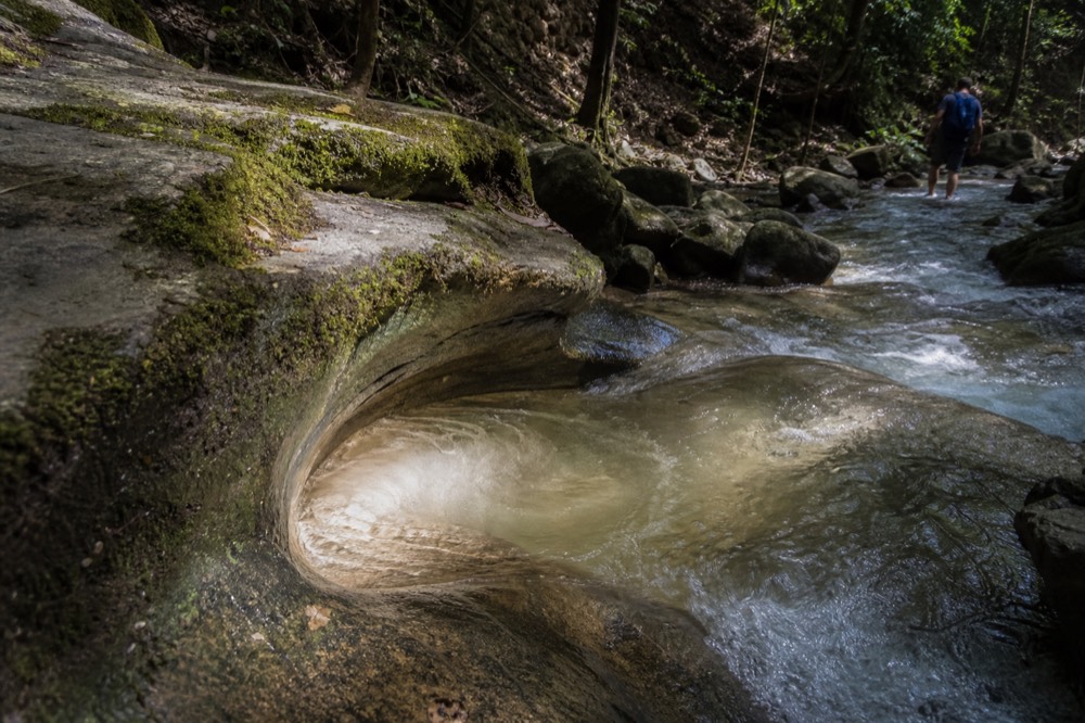 Water swirling over smooth hollowed rock in a forest stream channel, no text, no logos, no people