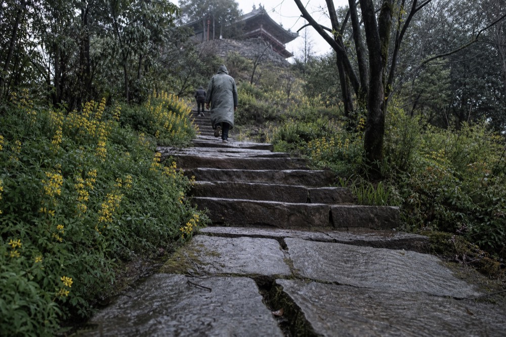 Stone steps climbing through trees toward a hilltop temple, no text, no logos, no people