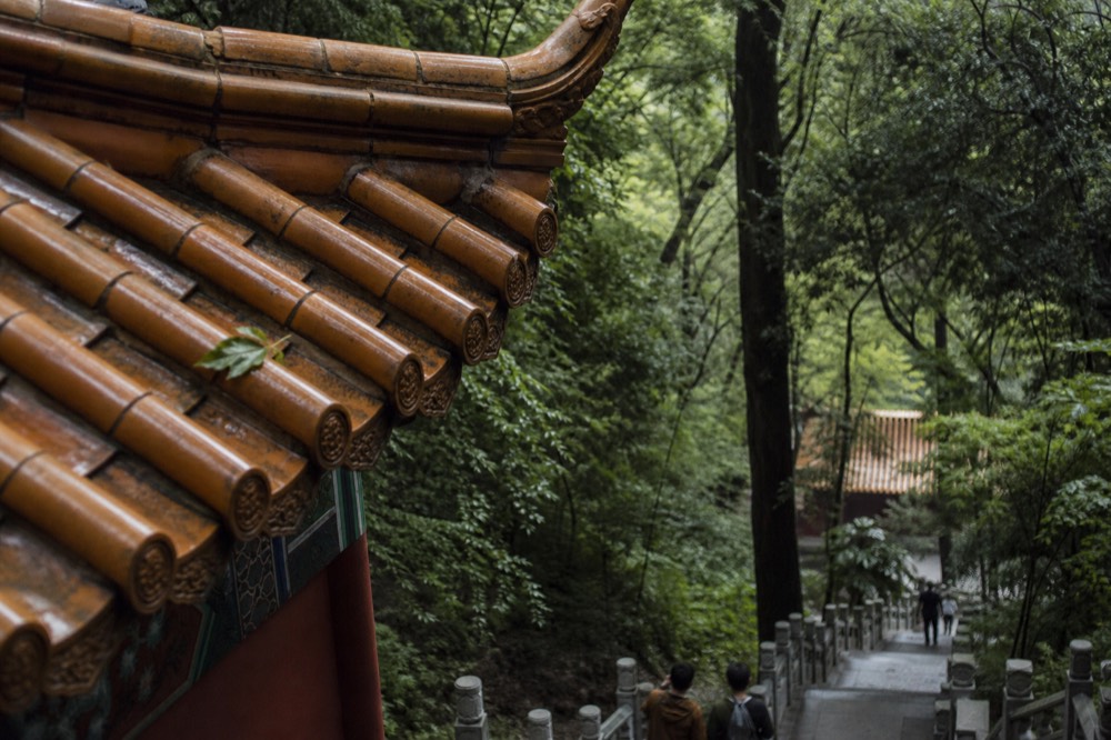 Ornate temple rooftops and halls on a forested hillside, no text, no logos, no people