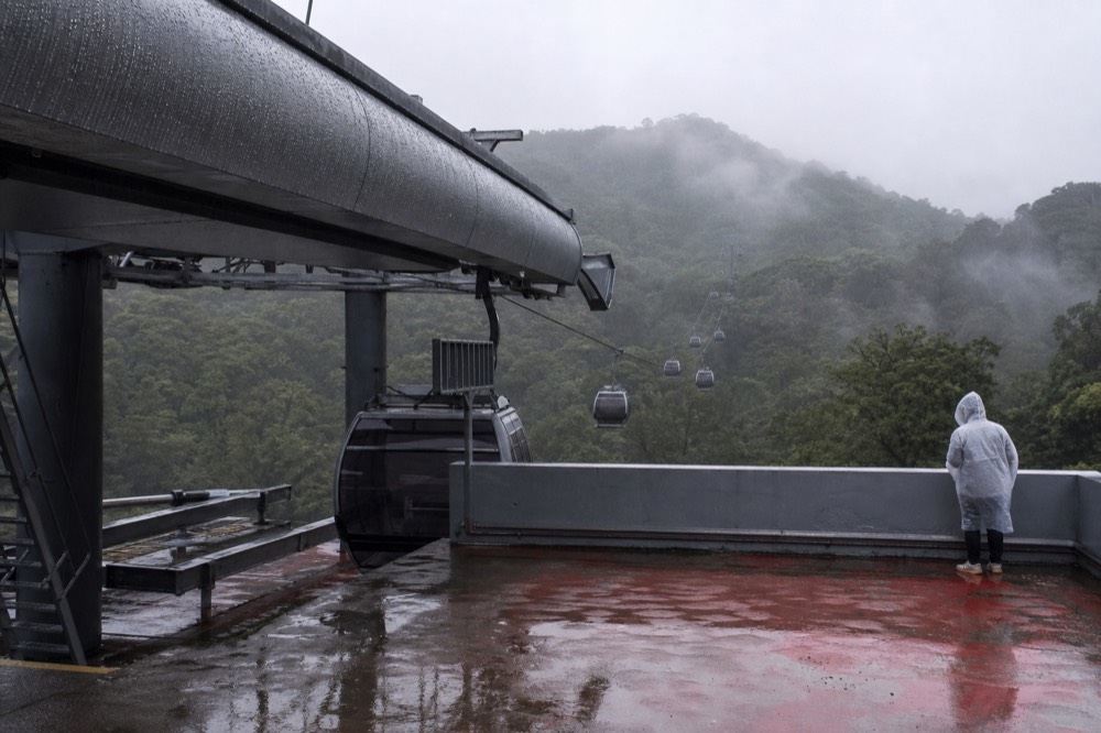Cable car cabins travelling above misty green forest, no text, no logos, no people