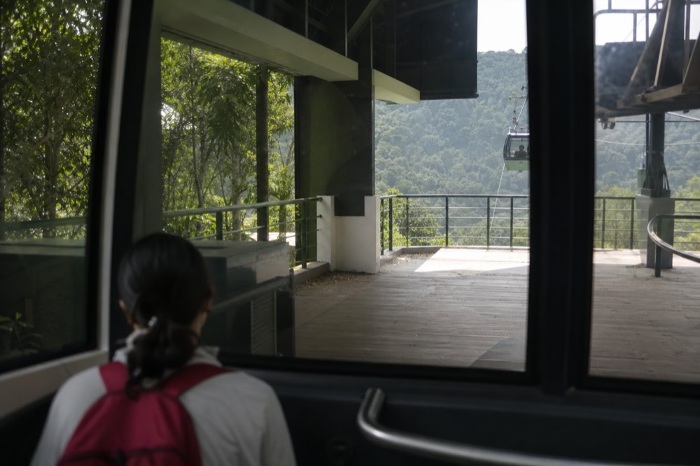 A quiet gondola platform beside zoo grounds with greenery, no text, no logos, no people
