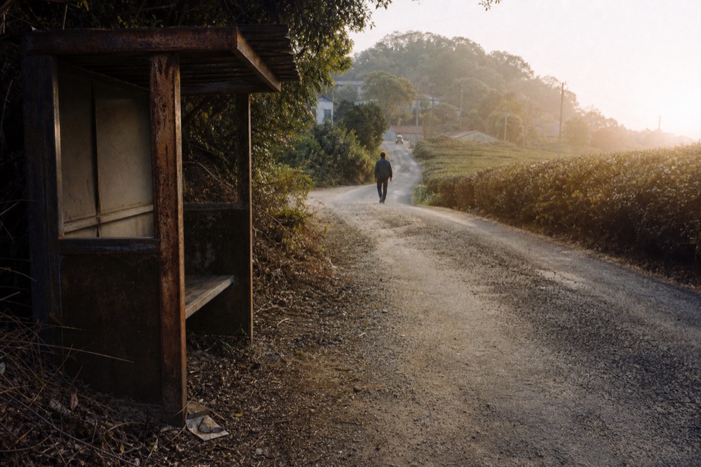 A mountain road winding up through tea plantations toward Maokong village, no text, no logos, no people