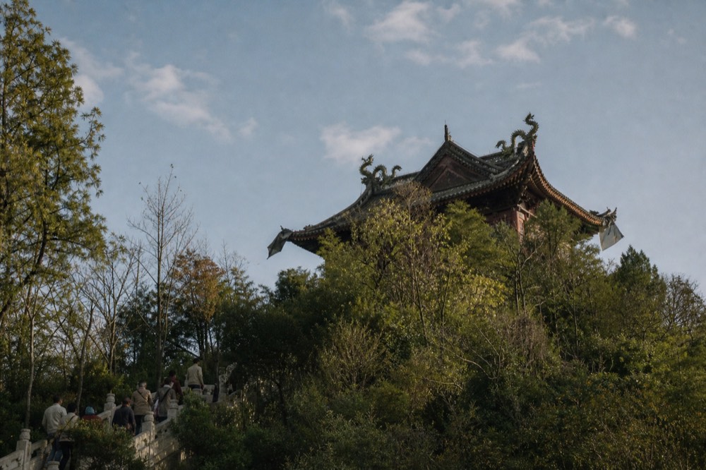 Ornate temple roofline with dragon ridge ornaments above forest canopy, no text, no logos, no people
