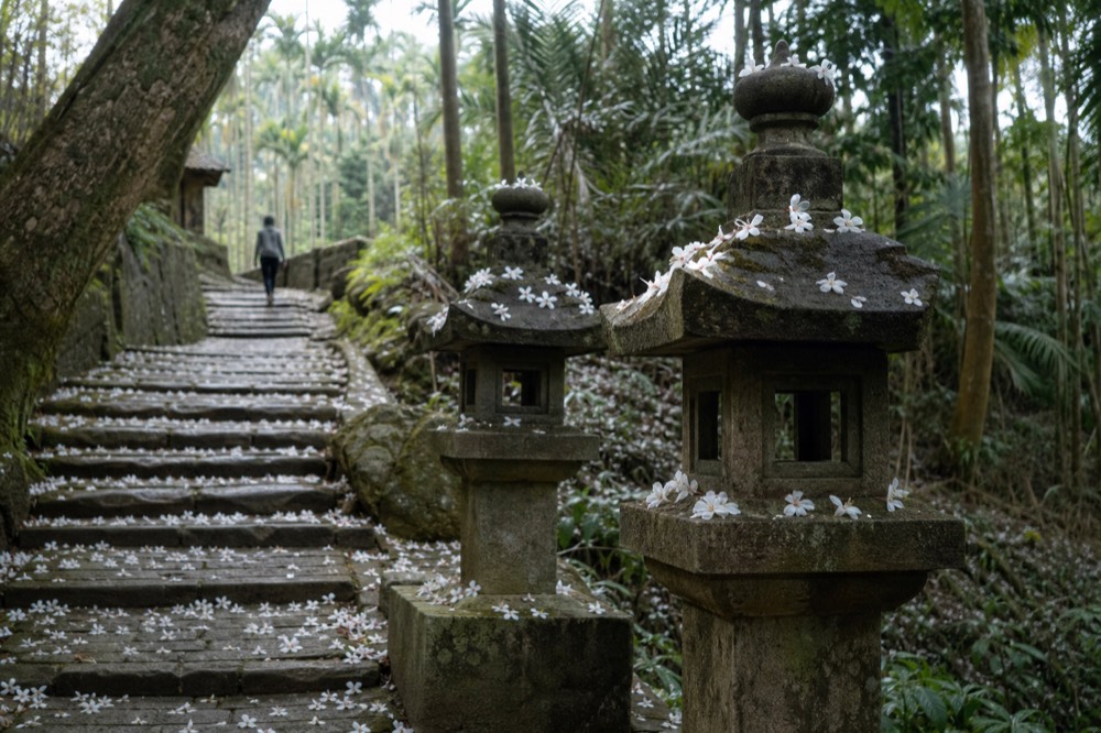 Weathered stone steps with old stone lantern beside a forested slope, no text, no logos, no people