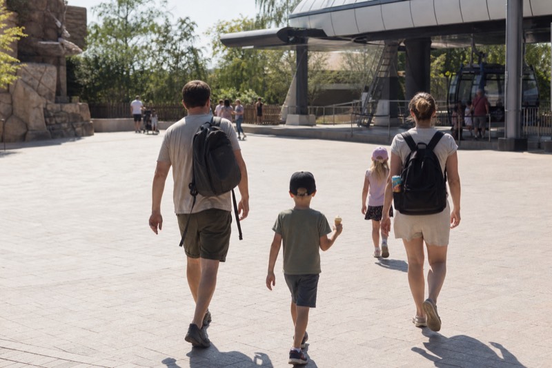 Gondola, Zoo and an Experience