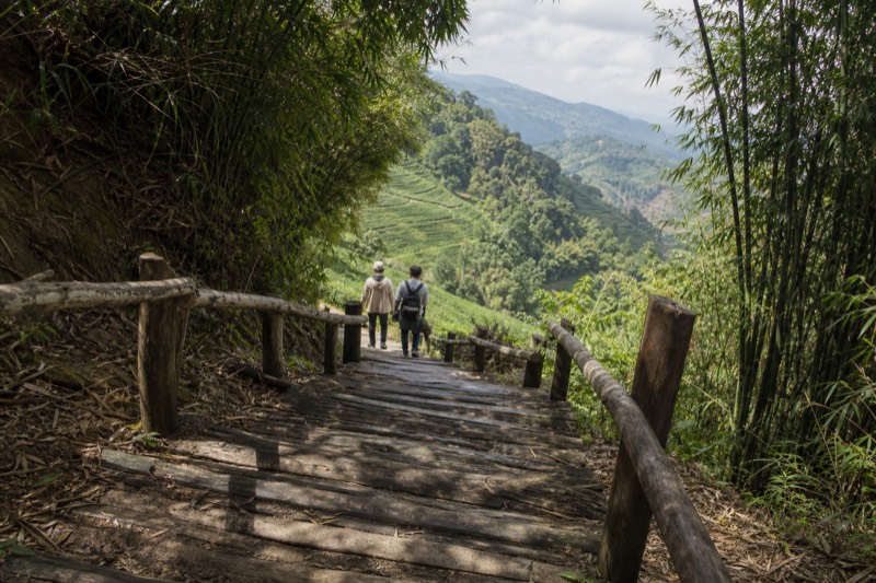 Wooden signpost beside stone steps where a spur path leaves the ridge and drops toward the tea gardens below.