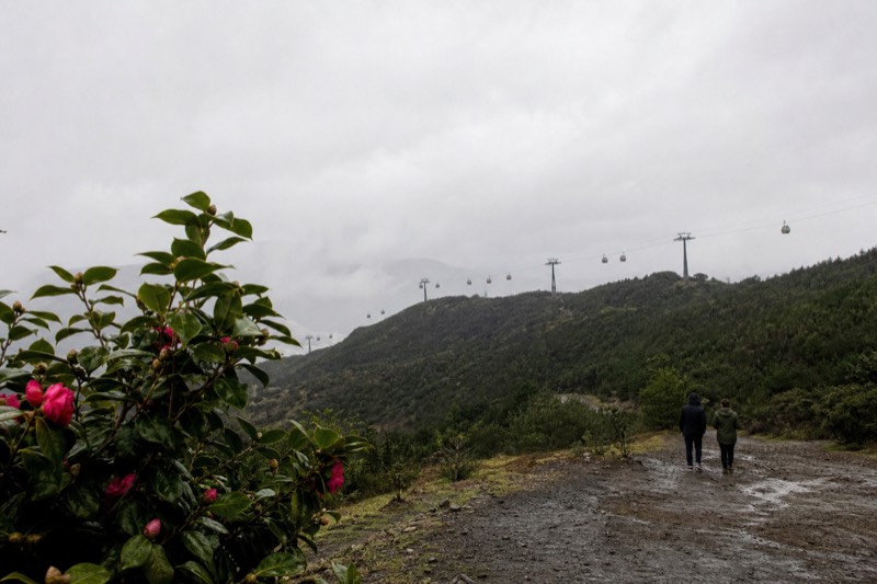 Seen from a nearby ridge, gondola cabins hang in a line from the cable as it crosses the forested slope between support towers.
