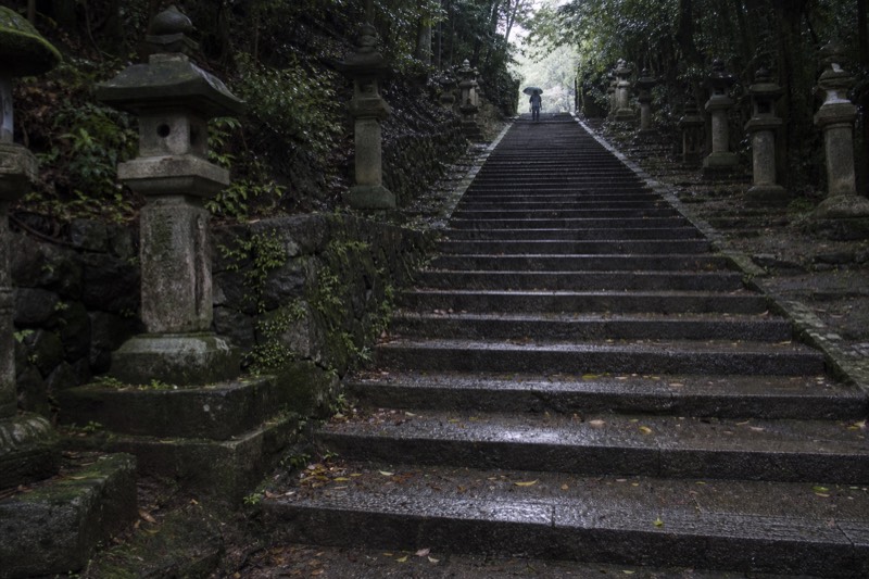 Zhinan Temple's 1,185 steps